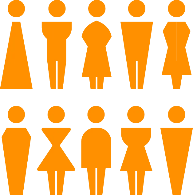男女比率33:67％